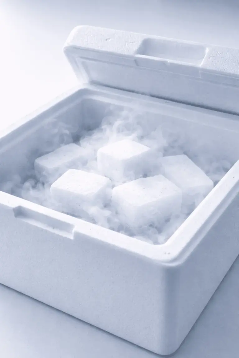 Wie lange hält Trockeneis? Haltbarkeit, Lagerung & Tipps